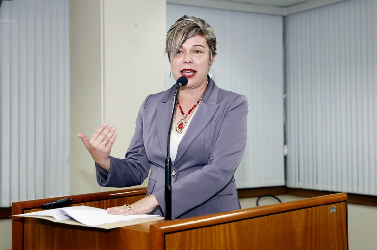 Aberto seminário sobre relação escola x conselho tutelar