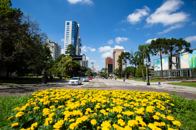 Adequação de Curitiba à Nova Lei das Licitações será votada na segunda 