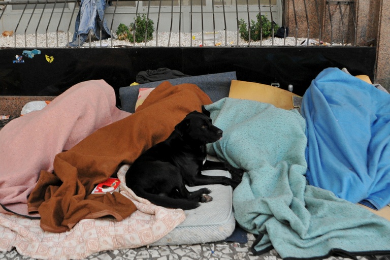 Animais de moradores de rua podem ter acesso a abrigos