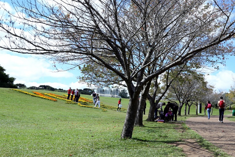 Audiência debate prática de atividade física em praças e parques