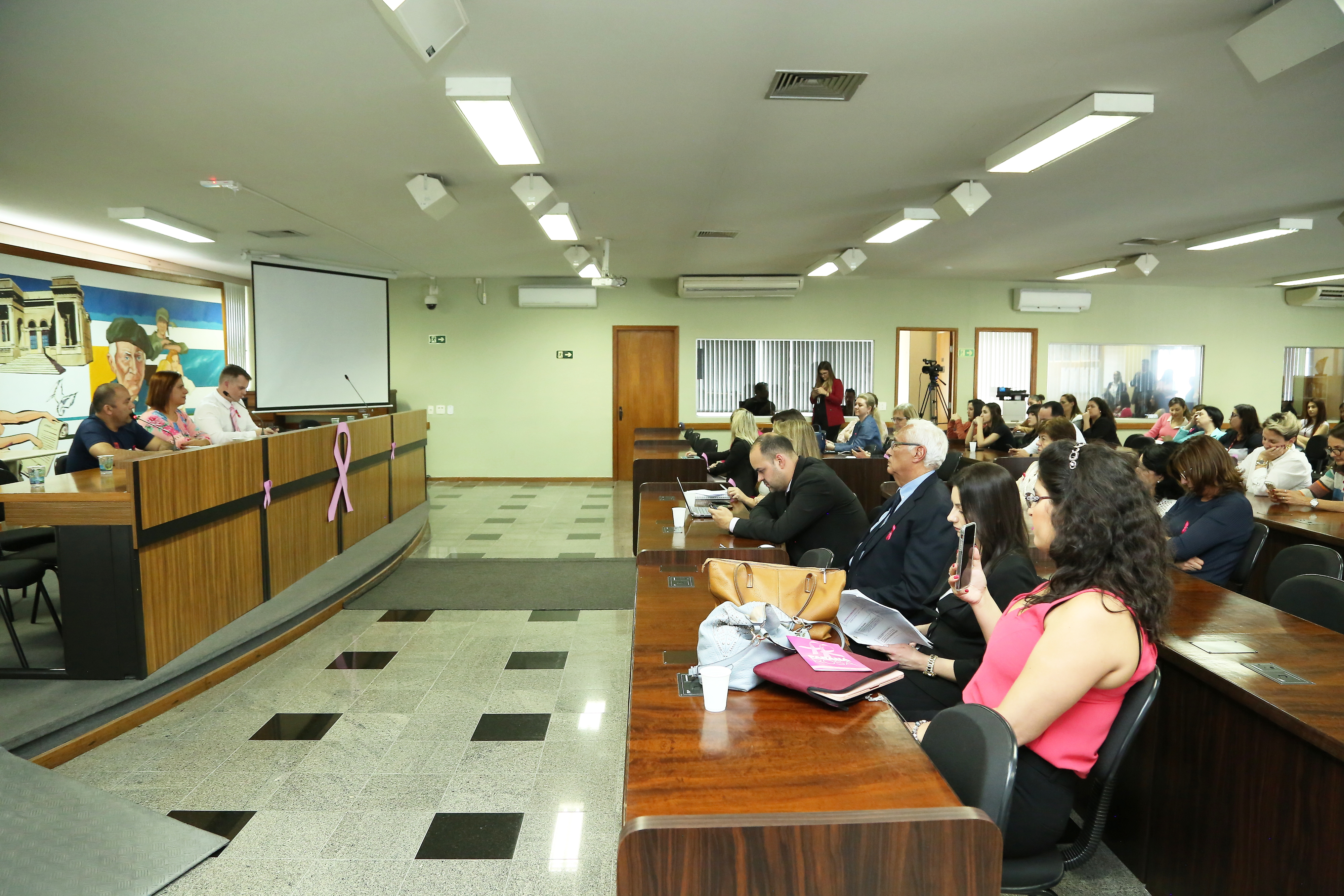 Audiência pública alerta ao diagnóstico precoce do câncer de mama