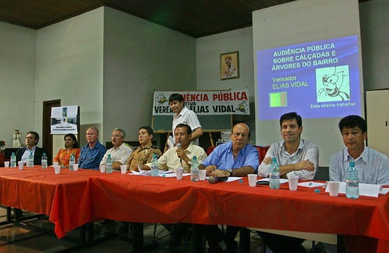 Audiência pública discute plano de arborização 