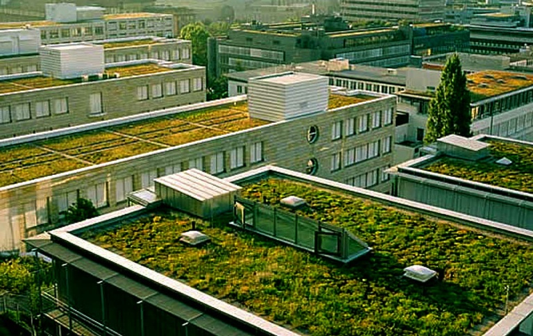 Audiência Pública vai discutir projeto "telhados verdes"
