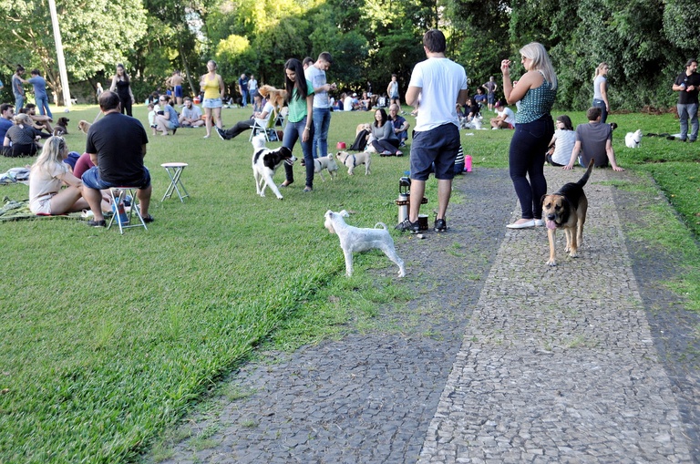 "Cachorródromo" vira "playpet" e poderá receber investimentos privados