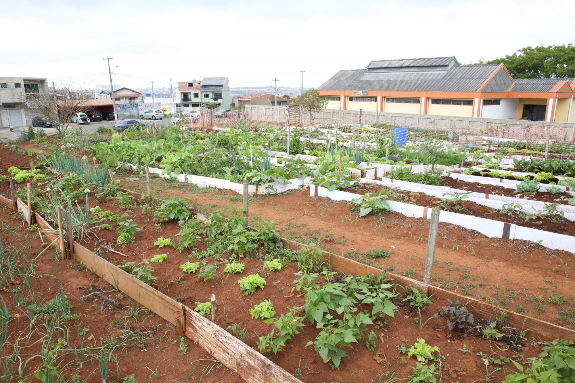 Câmara adia regulamentação à agricultura urbana por 5 sessões