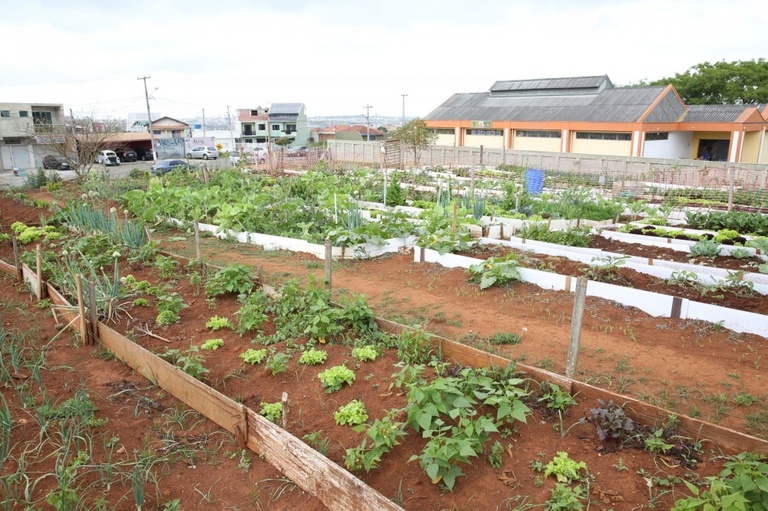 Câmara adia regulamentação à agricultura urbana por 5 sessões