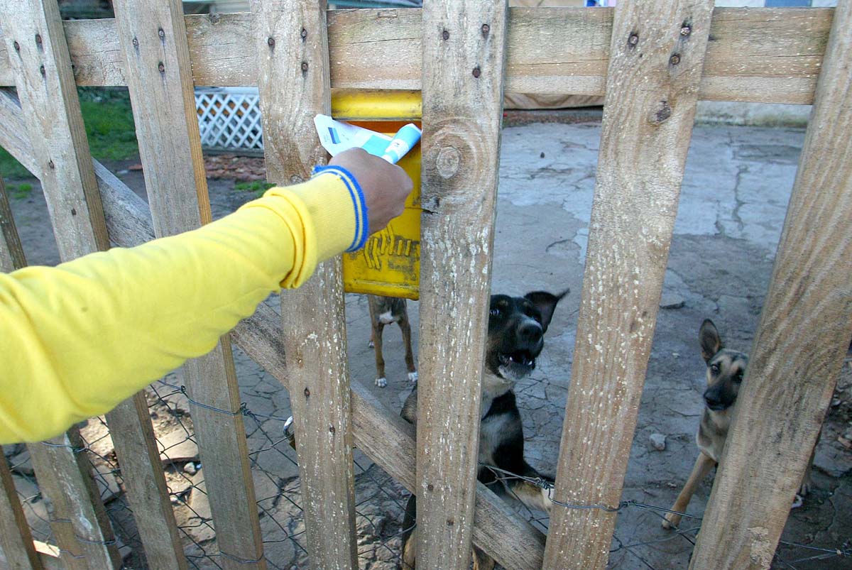 Câmara debate segurança de trabalhadores e direitos dos animais