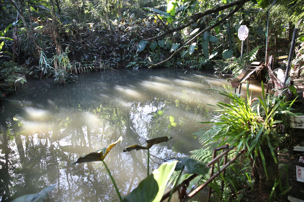 Câmara realiza seminário gratuito sobre conscientização ambiental