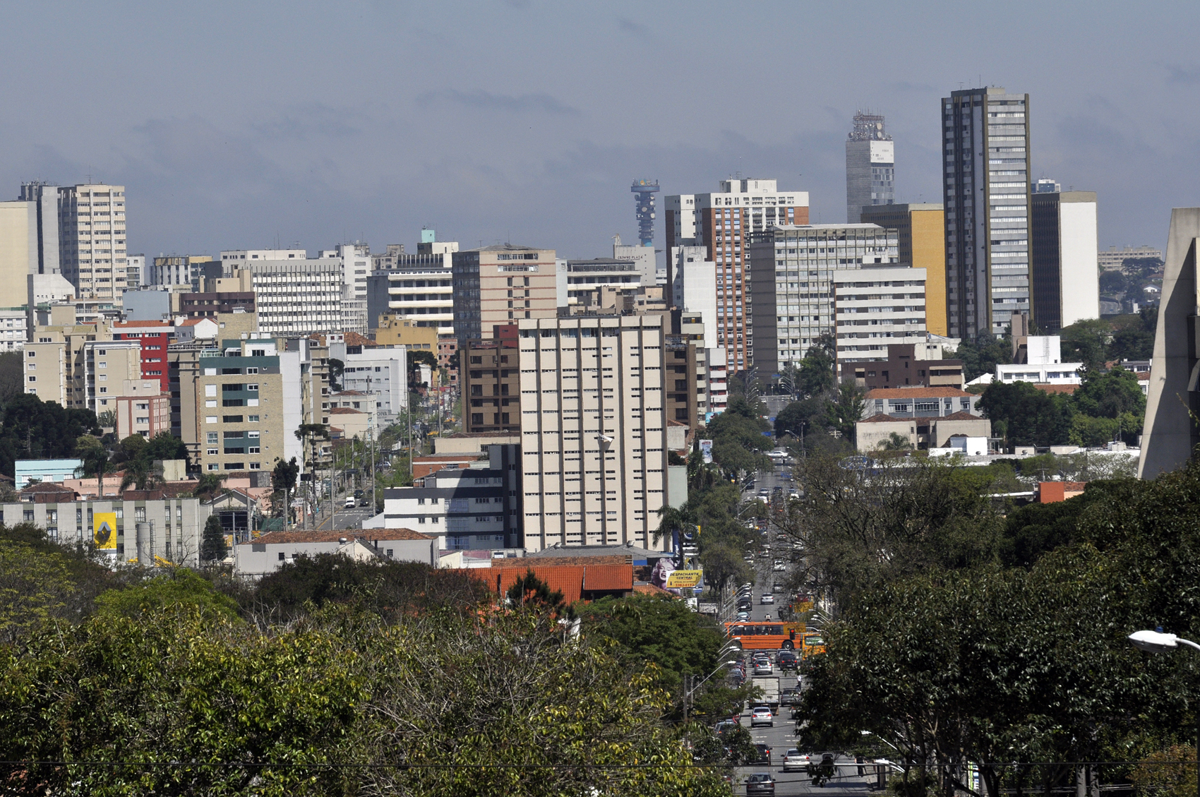 Câmara vota plantio de árvores por concessionárias    