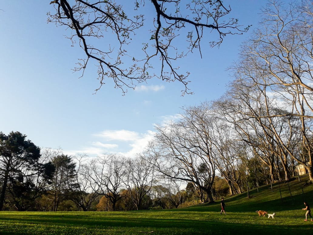 CCJ analisa proibição a fumo em parques de Curitiba