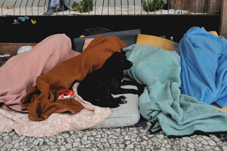 Direitos Humanos discute entrada de animais em abrigo a moradores de rua