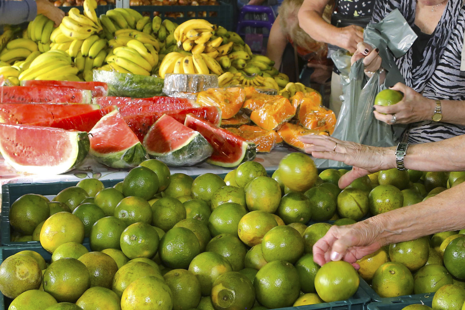 Doação de alimentos próprios  para consumo na pauta do plenário