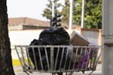Grandes geradores de resíduos que têm coleta privada podem ser isentos da taxa do lixo