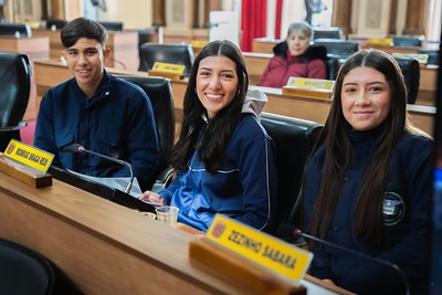 Simulação de votação de lei pelo Parlamento Jovem