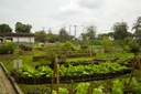 Curitiba vai implantar Programa Alimento Solidário daqui a seis meses