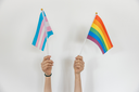Combate à LGBTfobia poderá ser incluído no calendário de Curitiba