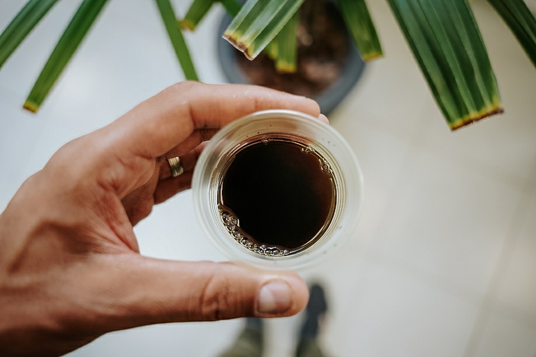 No dia 1º de fevereiro, Câmara de Curitiba faz licitação para compra de café