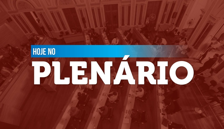 Notas da sessão plenária de  19 de fevereiro - 2ª edição