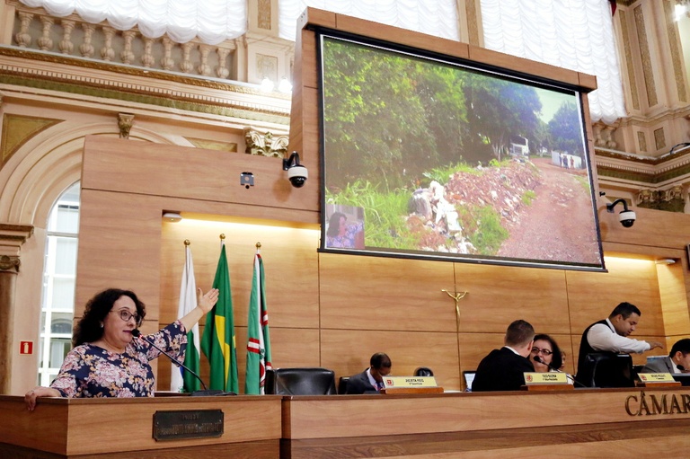 Notas da sessão plenária de 20 de março