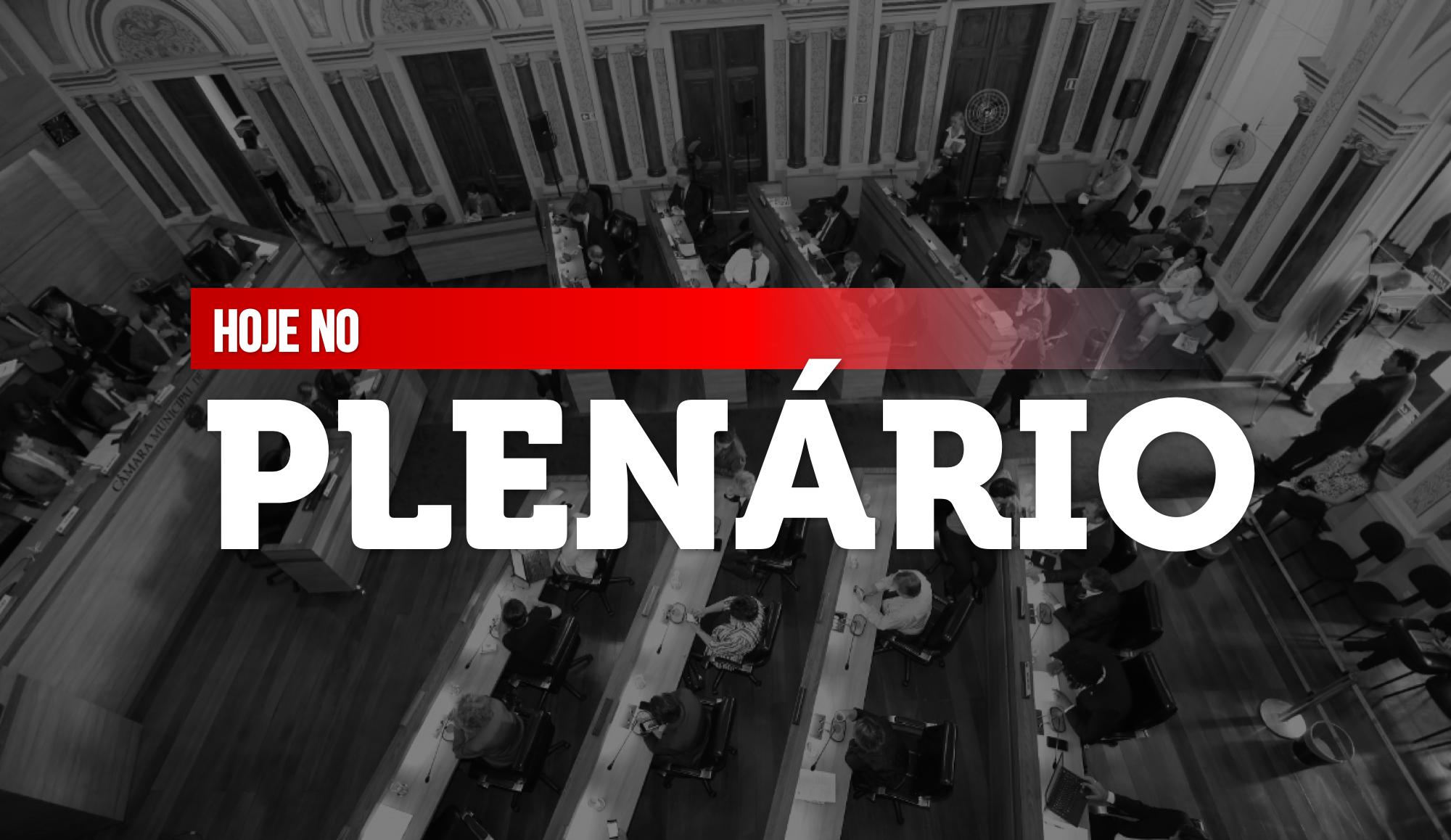 Notas de plenário 24 de abril