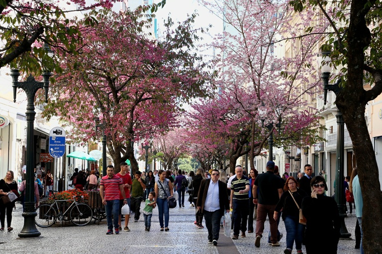 Orçamento 2019: consulta pública começa nesta segunda-feira