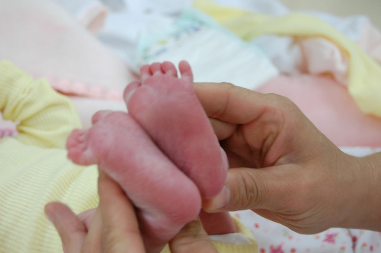 Plenário debate presença de doulas durante o parto