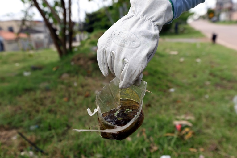 Polícia da dengue: sancionada lei que endurece combate ao Aedes