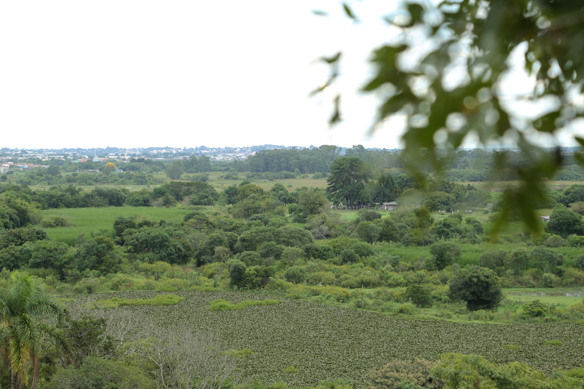 Prefeitura pretende ampliar Estação Ecológica Teresa Urban