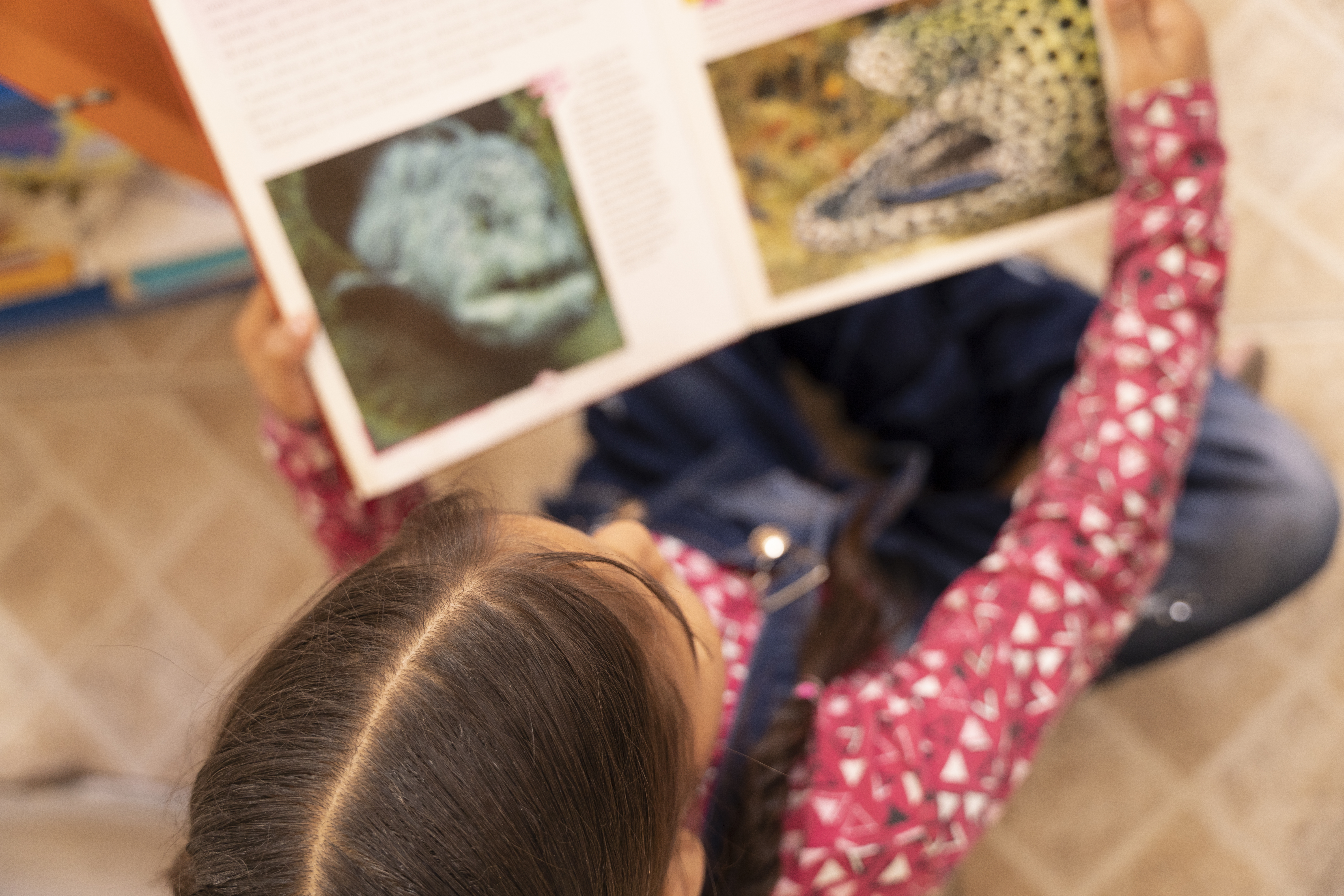 Proibição de livros com conteúdos eróticos nas escolas será avaliada na CCJ