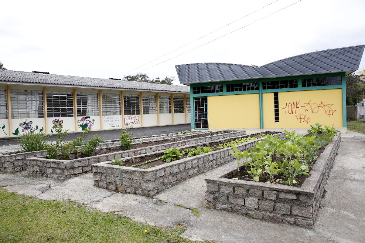 Projeto de lei quer garantir hortas nas escolas