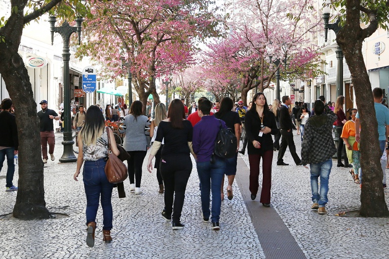 Proposta alteração no Conselho dos Direitos da Mulher