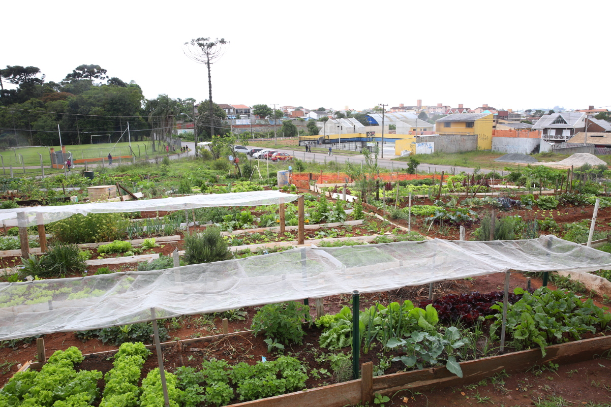 Regulamentação da agricultura urbana retorna ao plenário na segunda