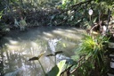 Solicitada investigação de poluição em nascente, no Boqueirão