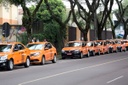 Urbs poderá emitir licença para taxistas com duração de dois anos