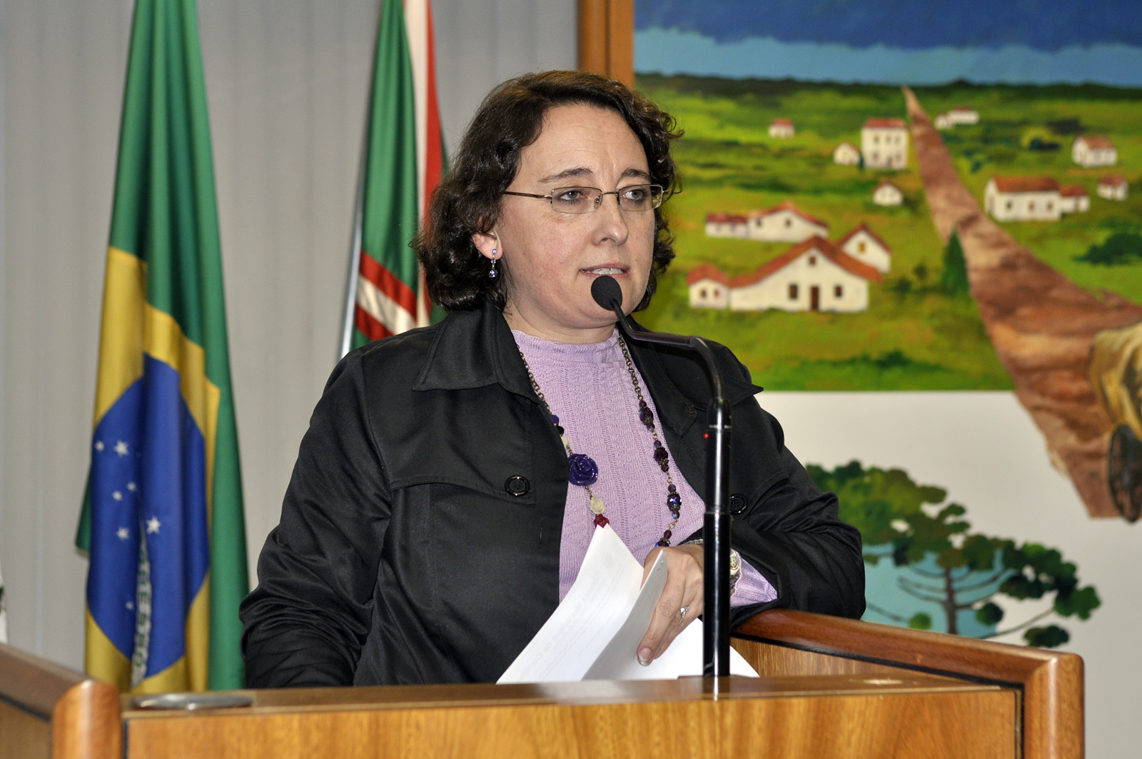 Vereadora destaca MP que autoriza recursos para escolas 