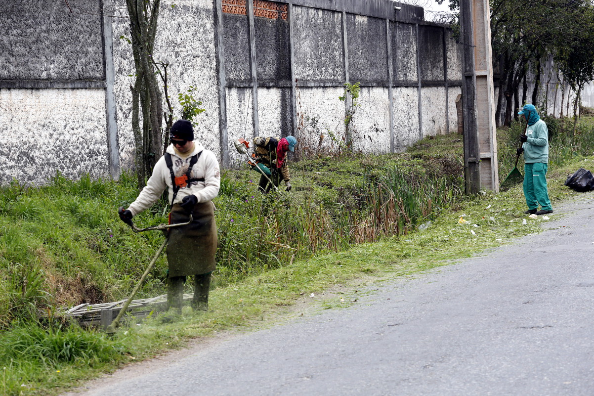 Vereadora questiona serviço de roçada na cidade