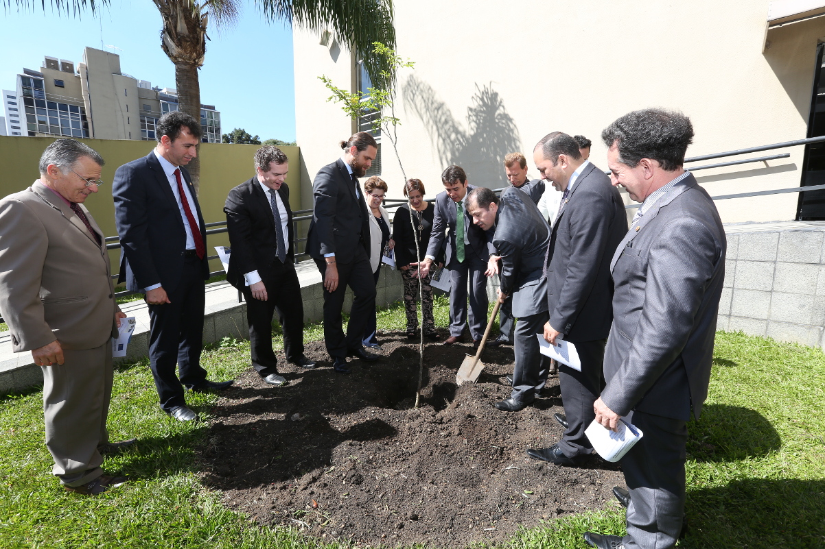 Vereadores plantam muda de pau-brasil em frente à Câmara