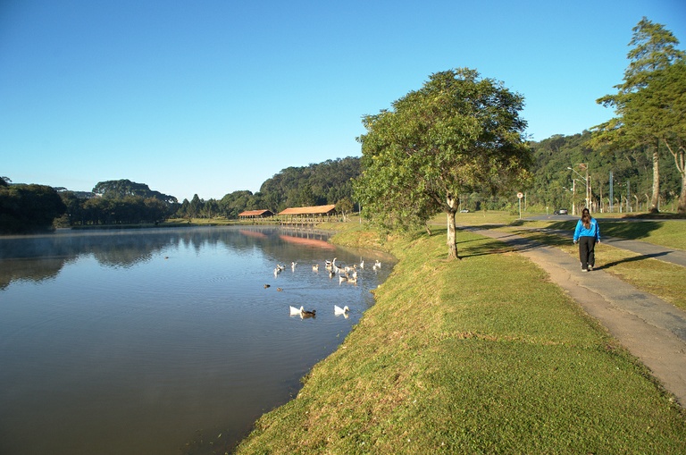 Vereadores querem obras e reparos em diversos parques de Curitiba